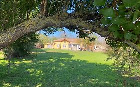 Ferienhaus Primorska Sunshine In Strandnaehe